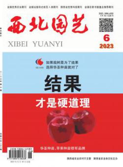 西北园艺·果树